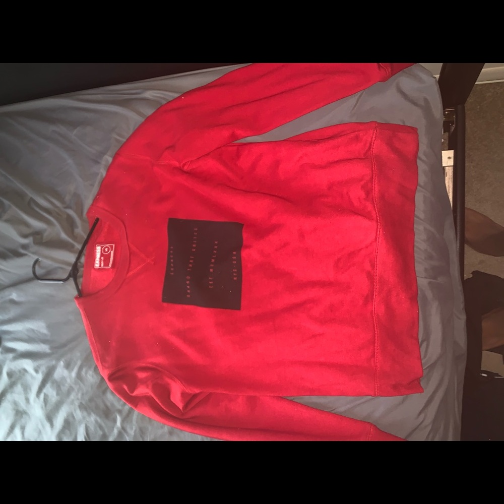 Express men sweater